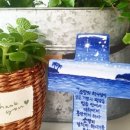 트루블루세라믹