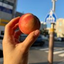 알콩달콩 흑염소 | 25년 7월 반절 모음집 : 푸르른 여름 하늘 너무 좋아☁️🤍