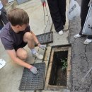 아트 워크 | [쓰담필터] 쓰담필터 2회차 환경강연과 첫 플로깅+아트워크 후기!