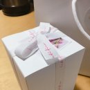 레티피코 이미지