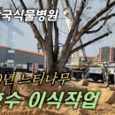 한국식물병원