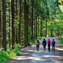 장성주유소 이미지