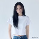 던컴퍼니
