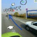 구산배수펌프장 | [2016년] 고구마 캐기 체험 종료