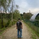 크림스톤 이미지