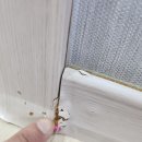 사평대로28길 31 (2) 이미지