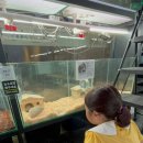 단짠아쿠아 평화점 이미지