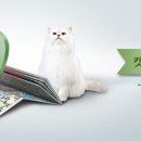 충청팬시