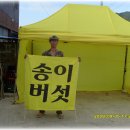 송이집 이미지