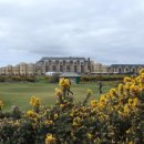 공과 막대기 이미지