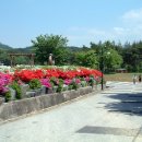 예당관광지 이미지