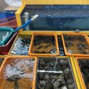 남열리 소금창고 이미지