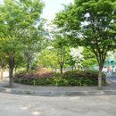 서울한남초등학교 - 94 | 서울한남초등학교