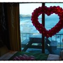 갈매기 나는꿈 펜션 이미지