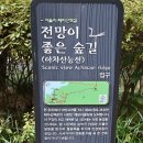 세븐일레븐 남산시장점 | 아차산 (295.7m)- ( 2024.10. 28 )