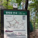용연삼거리 | 공원] 2025년 봄 끝자락에 다녀온 첫 트래킹 ⛰️🏃🏻‍♀️ &lt;대전사-용연폭포 매우 쉬움 약 6.8km/2시간 30분 코스&gt;