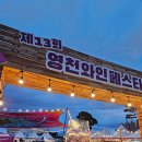 청수한의원 | 10월 가을 축제 2025 영천 별빛 한우구이 축제 와인 페스타 주차정보