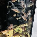 수산과학관 전시관 2층 화장실 이미지