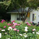 어답산농장 이미지