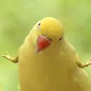 떡공방형제