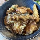 일본 대마도 맛집 히타카츠 시마메시야 호쿠토 후기 / 스시도코로 신이치 웨이팅 꿀팁 ღ