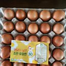 육아크루앱에서 만난 월간계란 이벤트 후기