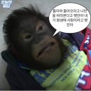 그대와의 노래