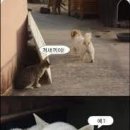 D01099 이미지