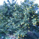 용마농장 이미지