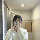 라캐시미어 | 봄 브이넥 니트 추천ㅣ가내스라 아서 캐시미어 브이넥 니트 구매후기(코디,착샷)