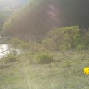 동강공인중개사사무소 이미지