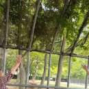 홍키통키 라이프 이미지