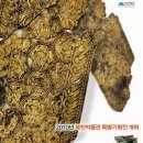 복천 이미지