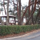 사천 희망길 이미지