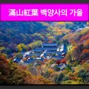 11월 13일 출석부 올립니다 이미지