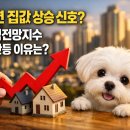 신호주택