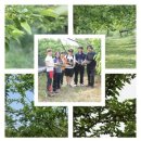 국선농장 | 2016년 한평농장 햇오디 예약받습니다.. 10킬로 59000원 무료택배