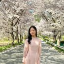 호텔어라이브 태안 탼 한옥비치리조트2 이미지