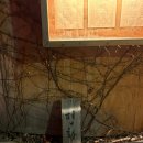 도림로80가길 | [문래동 한식주점 추천] 평화남영 나물육전/대삼치회 맛집 예약 및 웨이팅