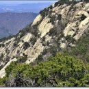 생활의상(초급) 이미지