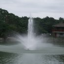 김*인 Daum카페