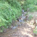 실개천펜션 이미지