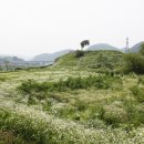 중앙동189 이미지