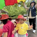 리나어린이집 이미지