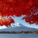 태평로537번길 이미지