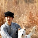 애견사랑 이미지