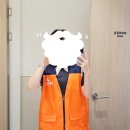 대신자원 | 동물자유연대 &#39;온독&#39; 자원봉사 후기