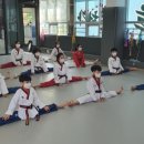 별나무태권도 이미지