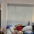 연후사진관 | [울산] 셀프 사진관 “연후스튜디오” 셀프 촬영 / 우정 사진 / 만삭사진 / 가족사진