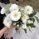 양평 아델라한옥 야외웨딩 결혼식 하객후기(한정식 피로연, 에프터파티)